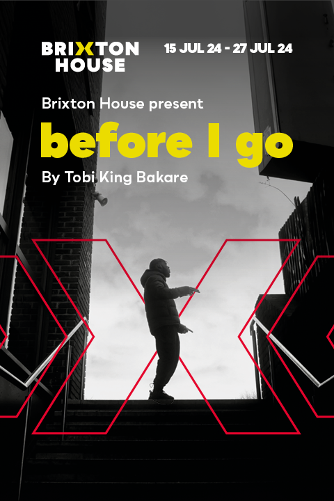 Housemates Returns: Before I Go